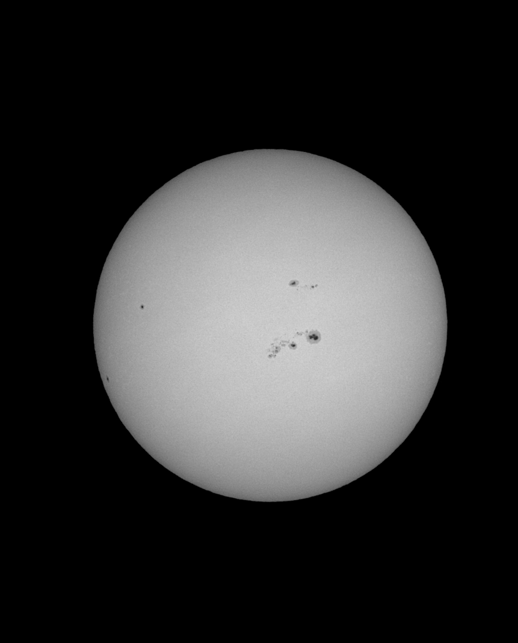 Bild