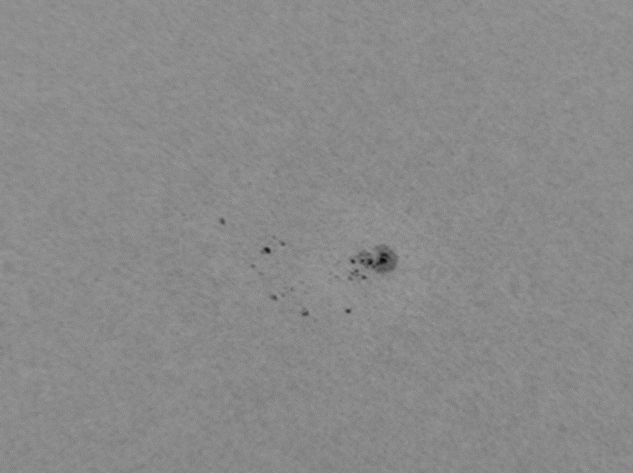 Bild